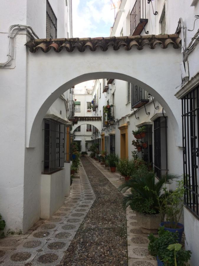 Apartmán Lujosa Vivienda En Plena Juderia Córdoba Exteriér fotografie